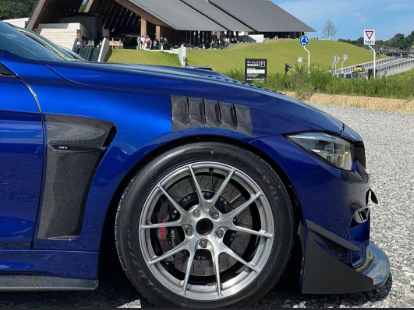 Paralama em Carbono F82 — foto 2
