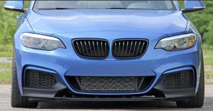 Front Lip M Performance F22 — foto 2